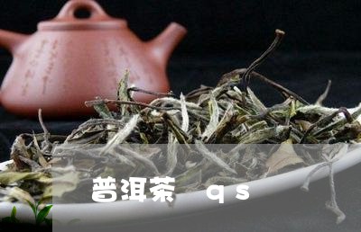 普洱茶 qs/2023042803743